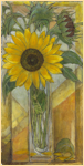 Sunflower [400]